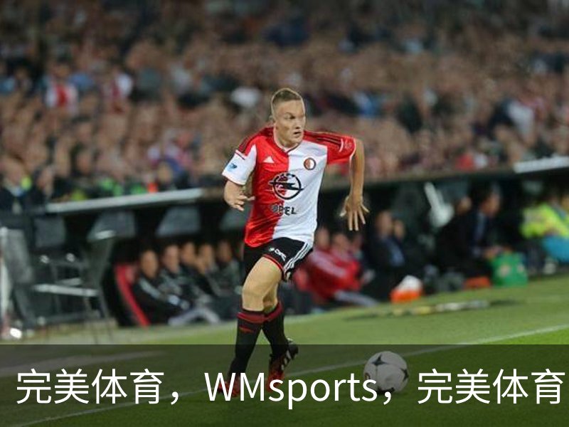 完美体育，WMsports，完美体育官方，完美体育平台，完美体育下载品牌故事